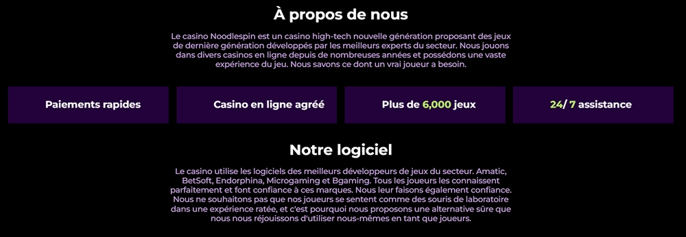 Page À propos de NoodleSpin avec ses principaux avantages